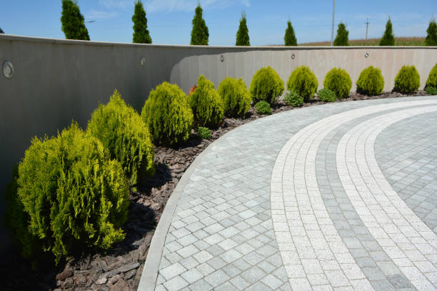 Best Driveway Pavers Near Me  in Corning, AR